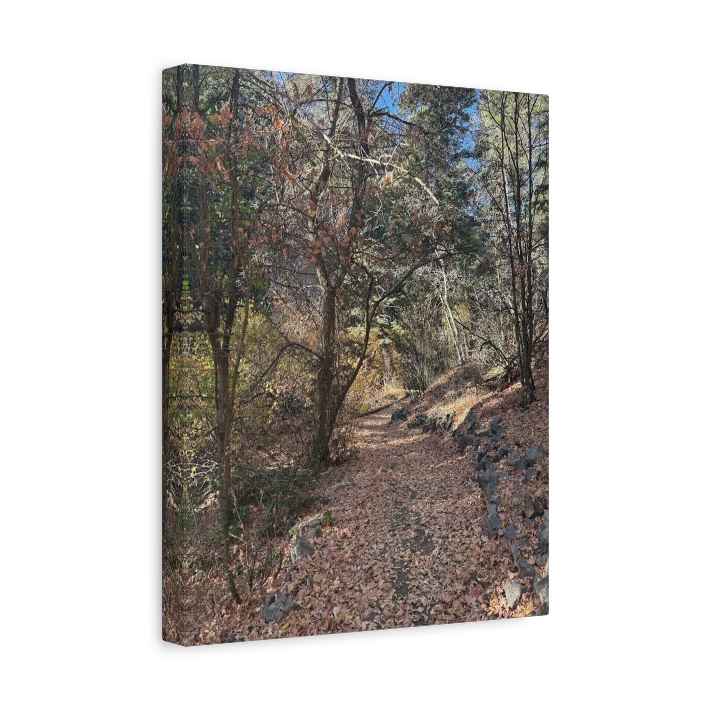 Nature-Inspired Matte Canvas Art - Stretched Wall Decor