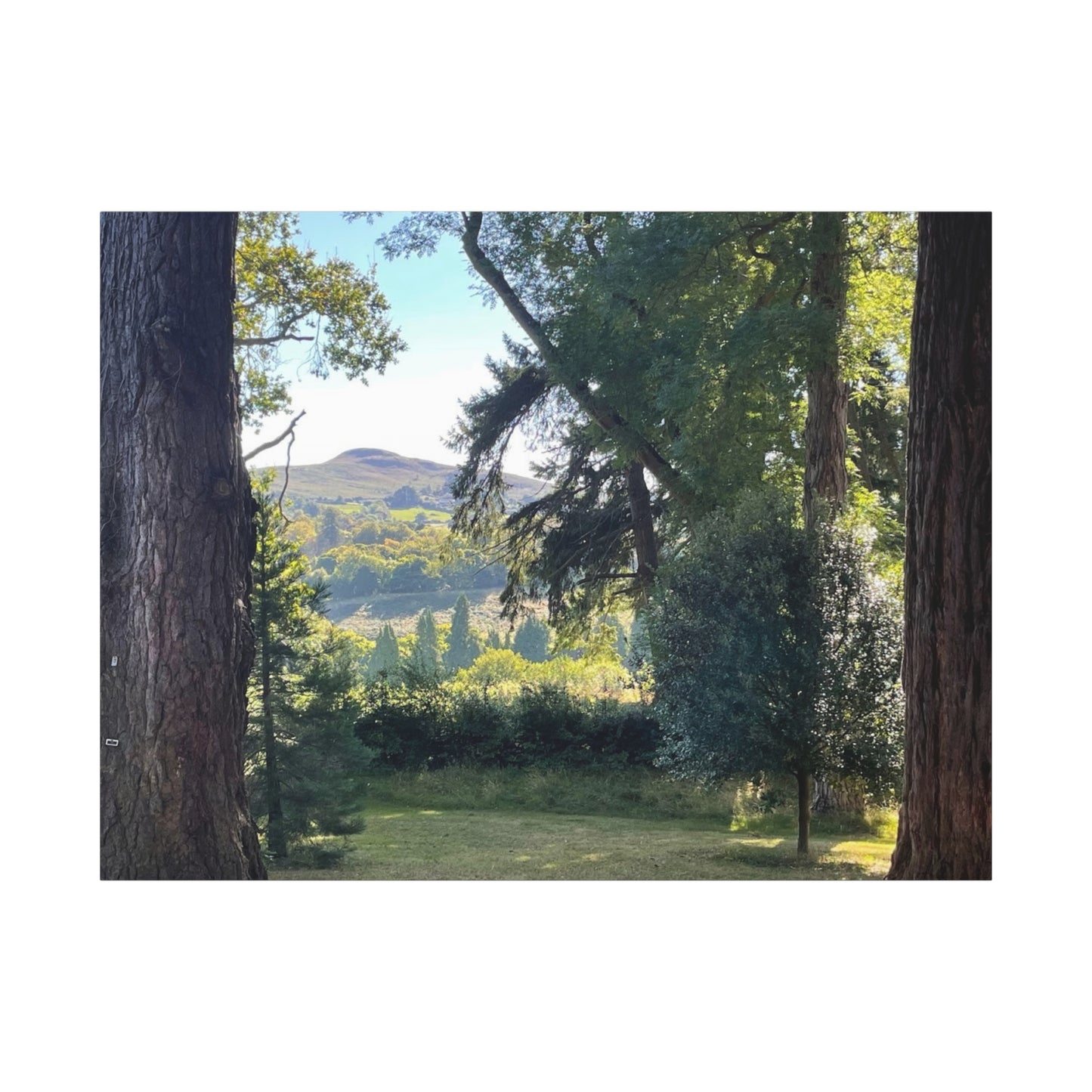 Nature-Inspired Matte Canvas Wall Art - Scenic Landscape Decor