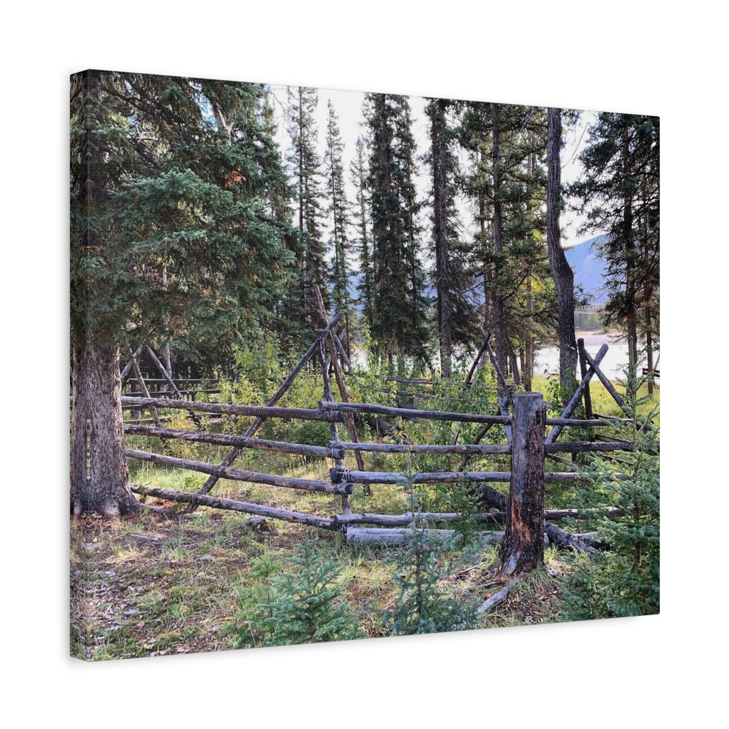 Nature-Inspired Wall Art Canvas Print - Tranquil Forest Scene