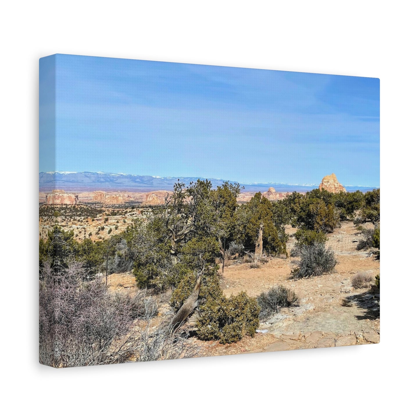 Desert Landscape Canvas Wall Art – 1.25" Matte Stretched Decor for Nature Lovers