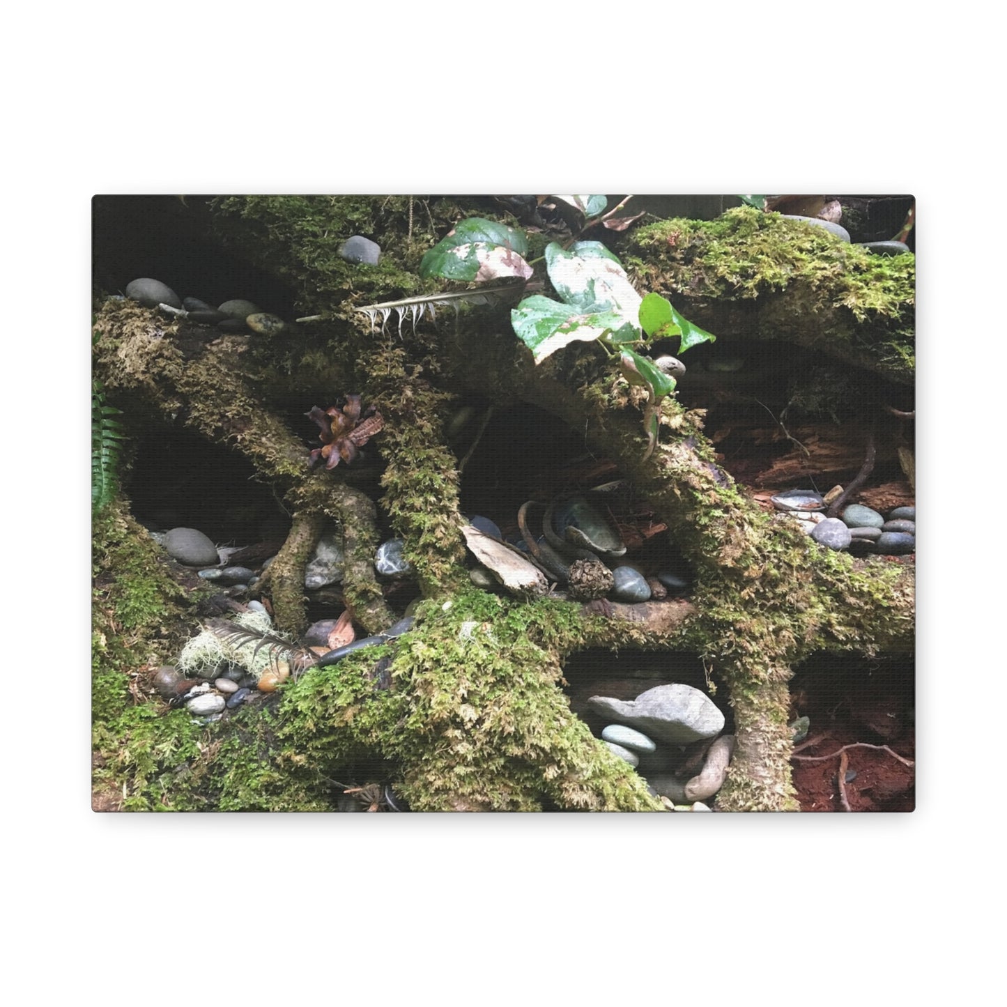 Nature-Inspired Matte Canvas Wall Art - Serene Root and Stone Design