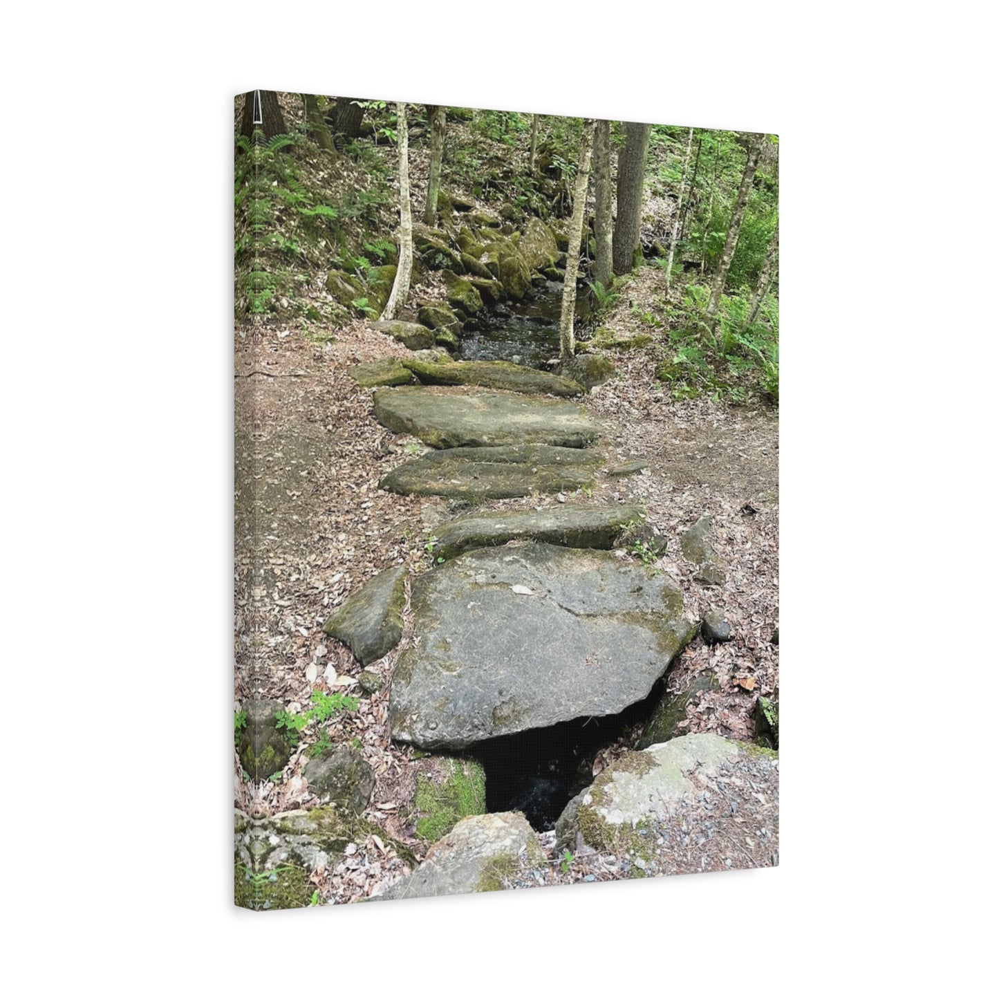 Nature-Inspired Stretched Canvas Art - Serene Stream Pathway Décor