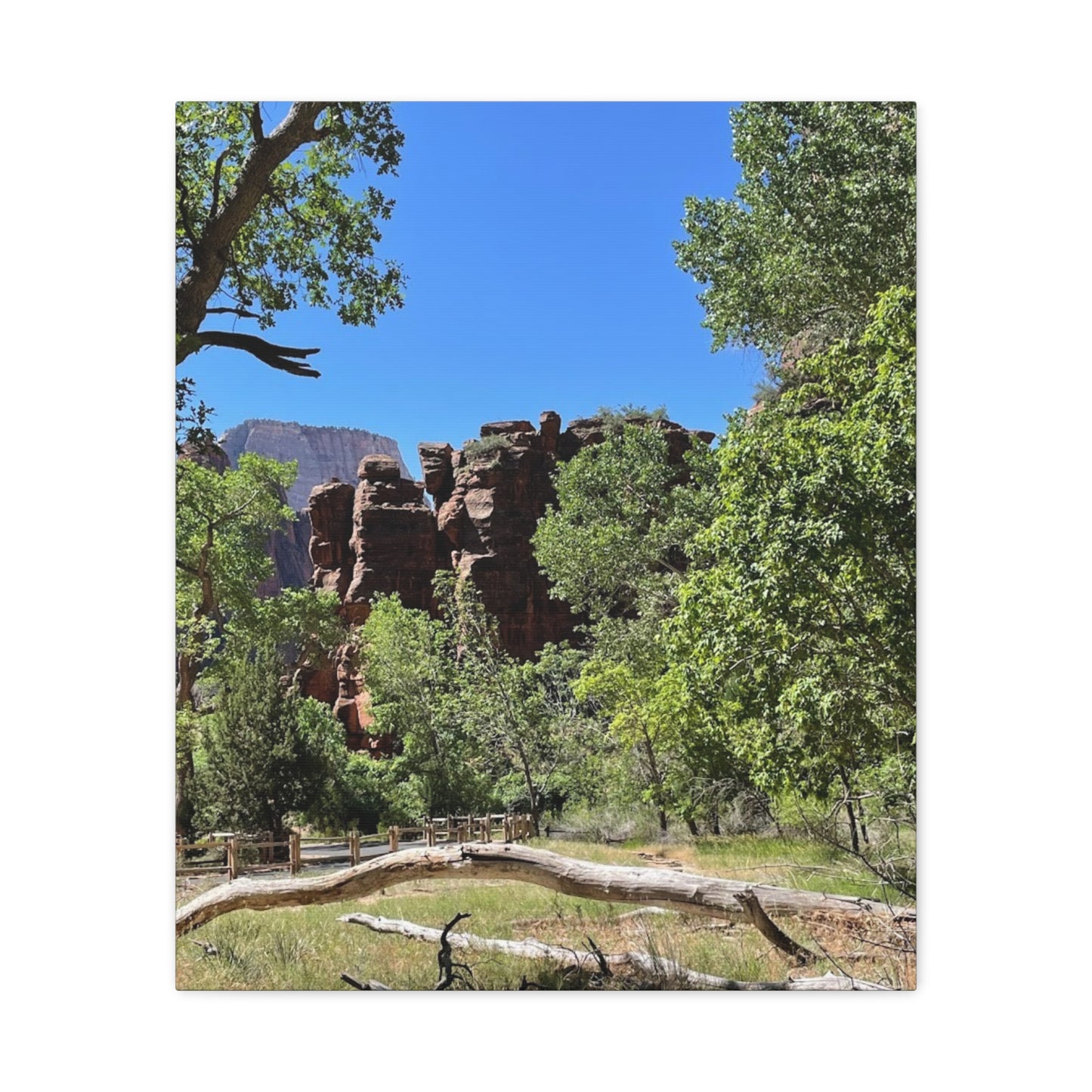 Stretched Canvas Art - Scenic Nature Landscape