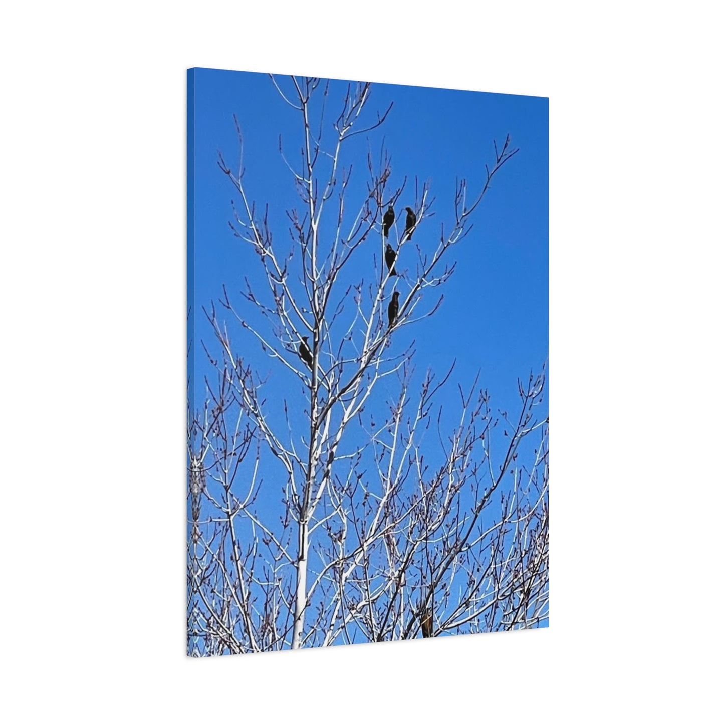 Serene Bird Canvas Wall Art - Tranquil Nature Decor for Home and Office