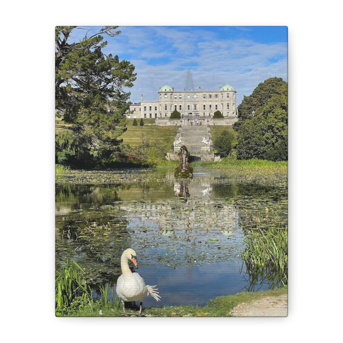 Stretched Matte Canvas Print - Serene Swan Reflection in Nature Powerscourt Estate, Wicklow Ireland