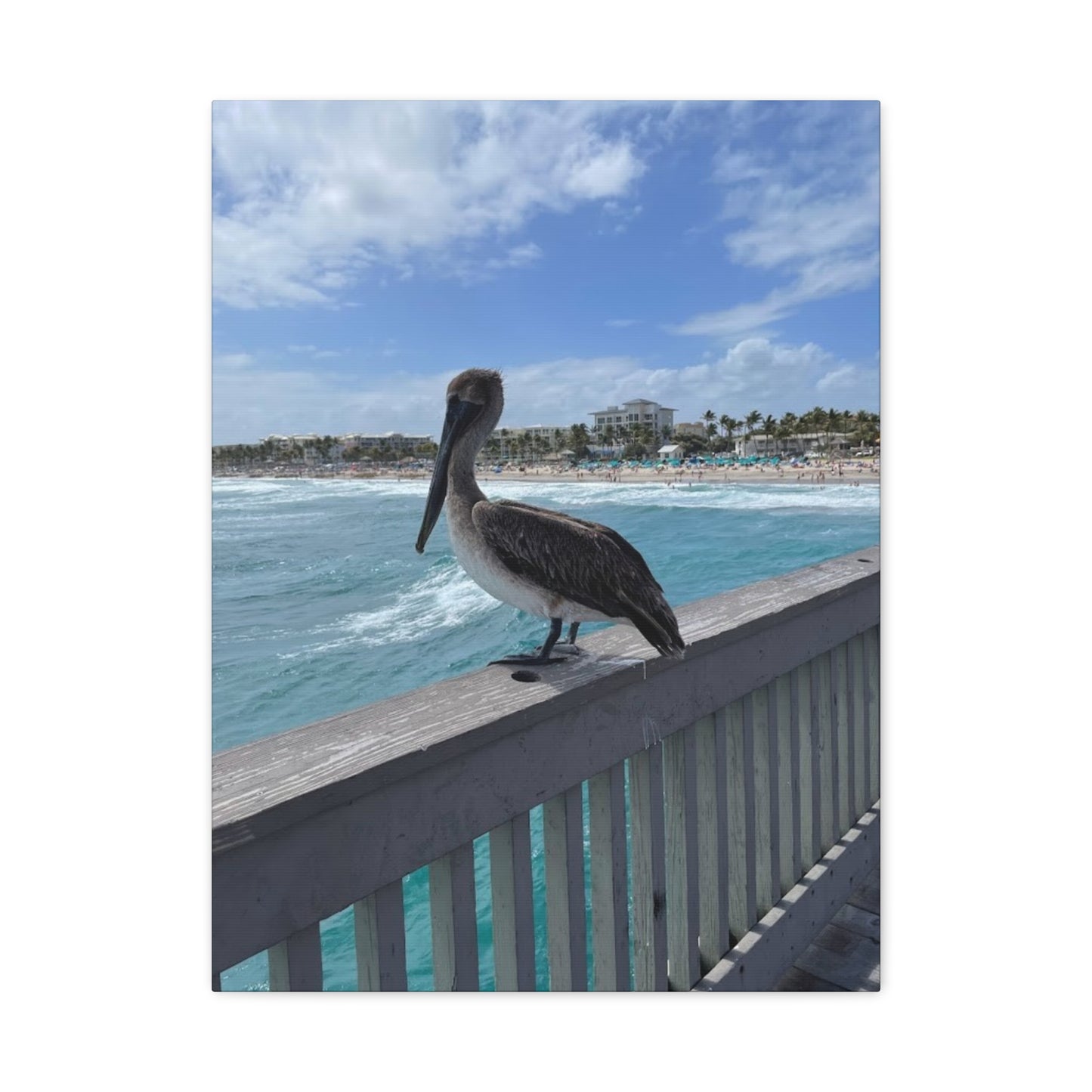 Coastal Serenity Pelican Canvas Print - 1.25" Stretched Wall Art