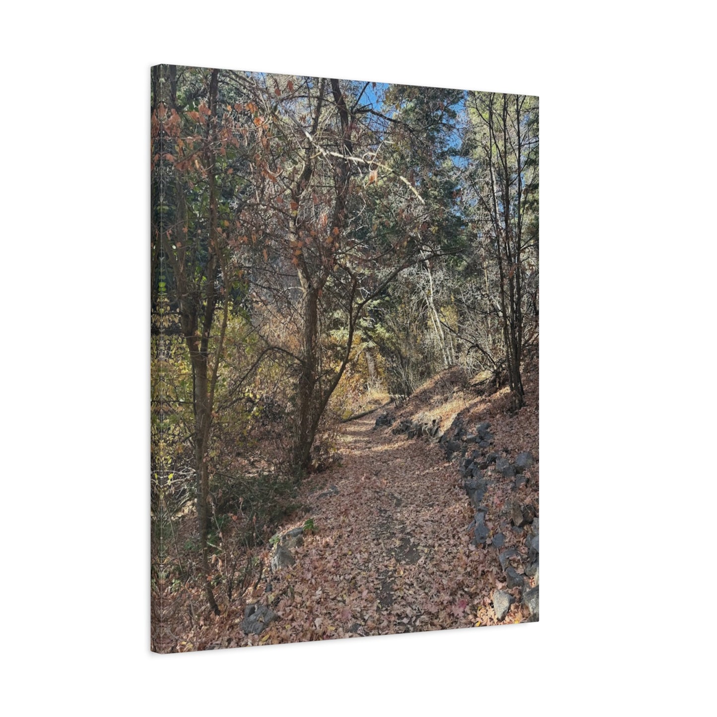 Nature-Inspired Matte Canvas Art - Stretched Wall Decor