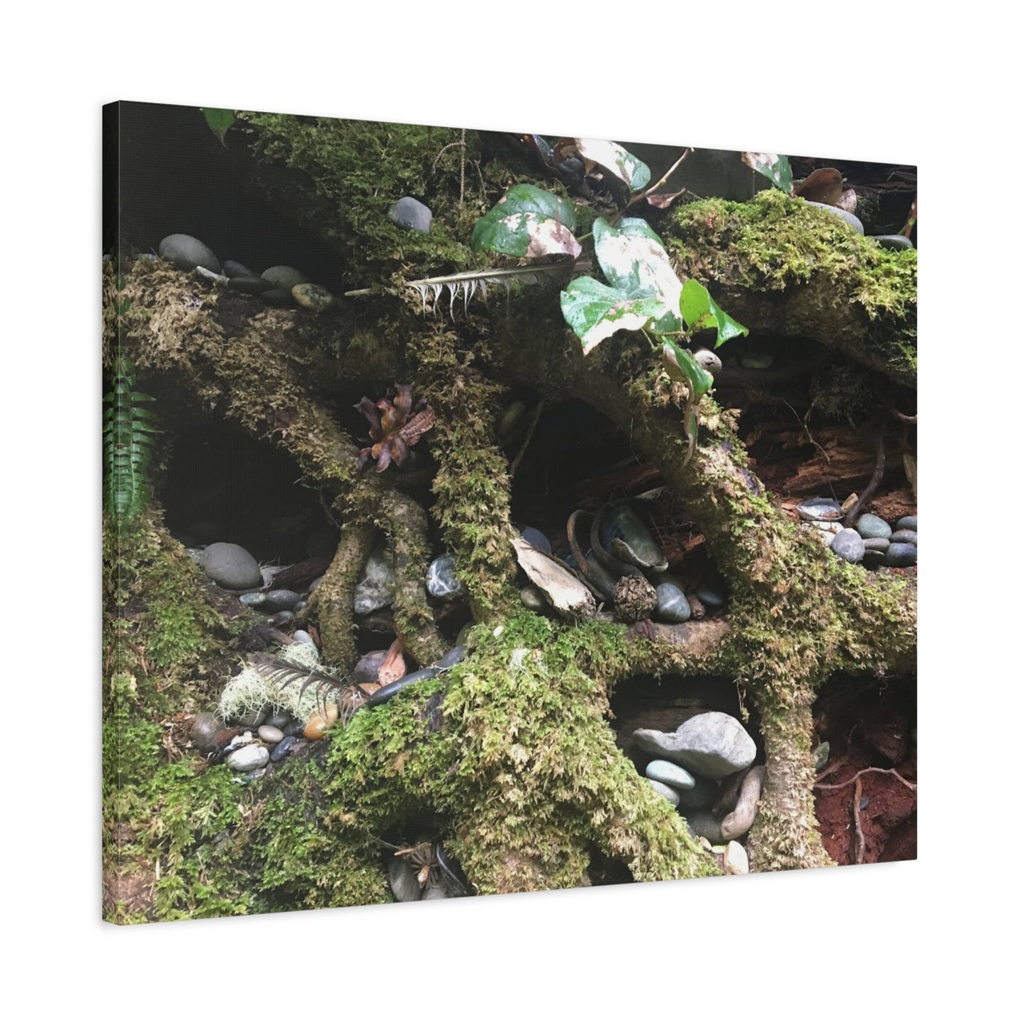 Nature-Inspired Matte Canvas Wall Art - Serene Root and Stone Design