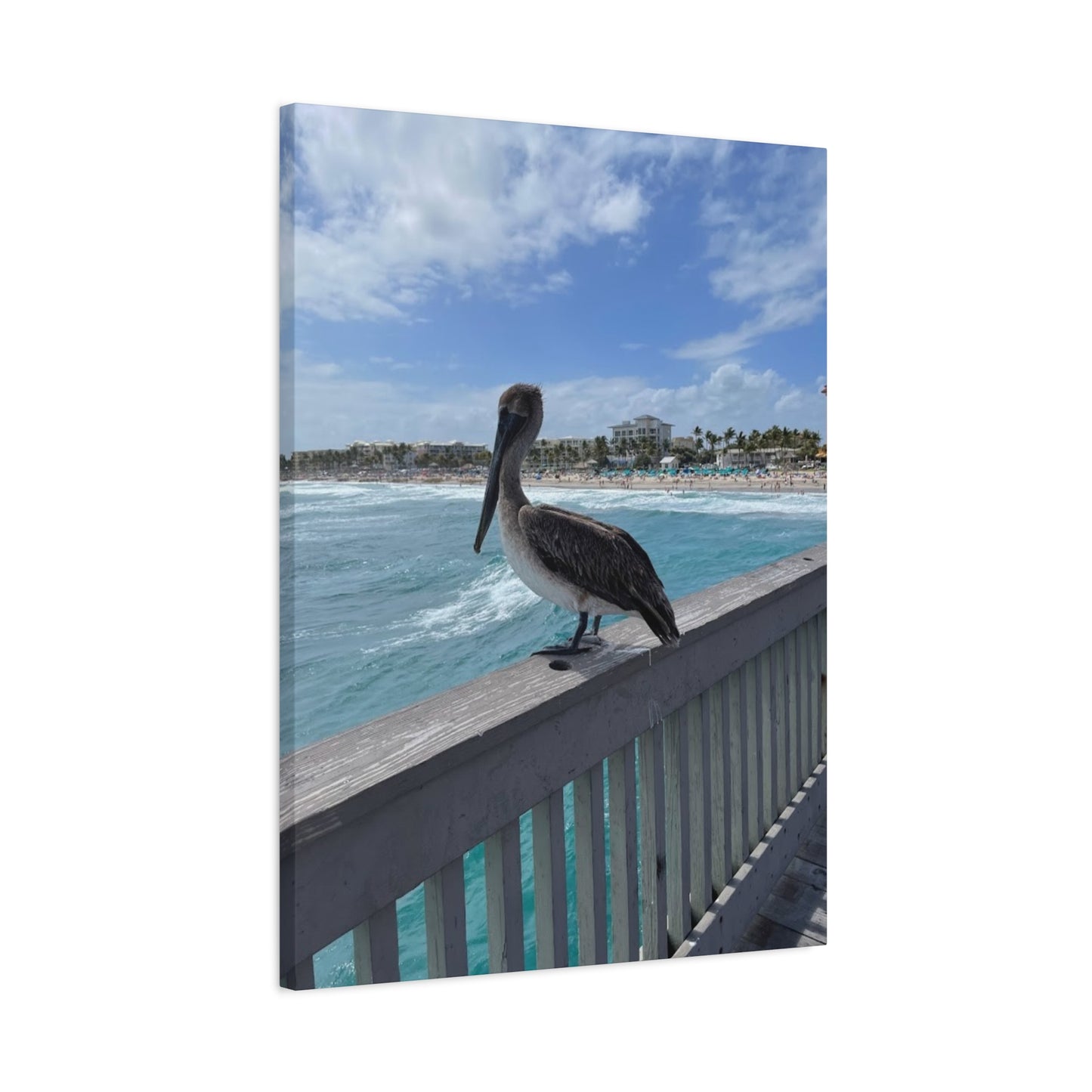 Coastal Serenity Pelican Canvas Print - 1.25" Stretched Wall Art