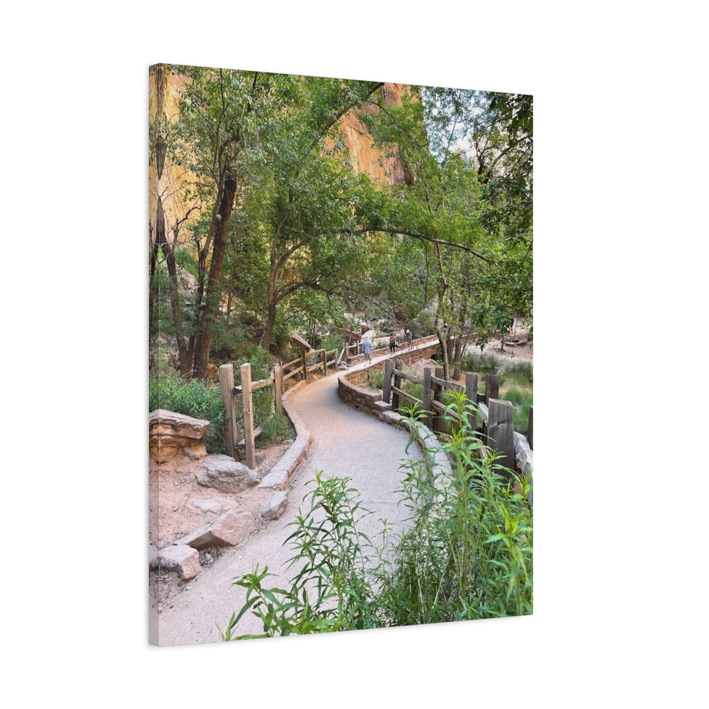 Nature Path Matte Canvas Wall Art - Scenic Landscape Decor