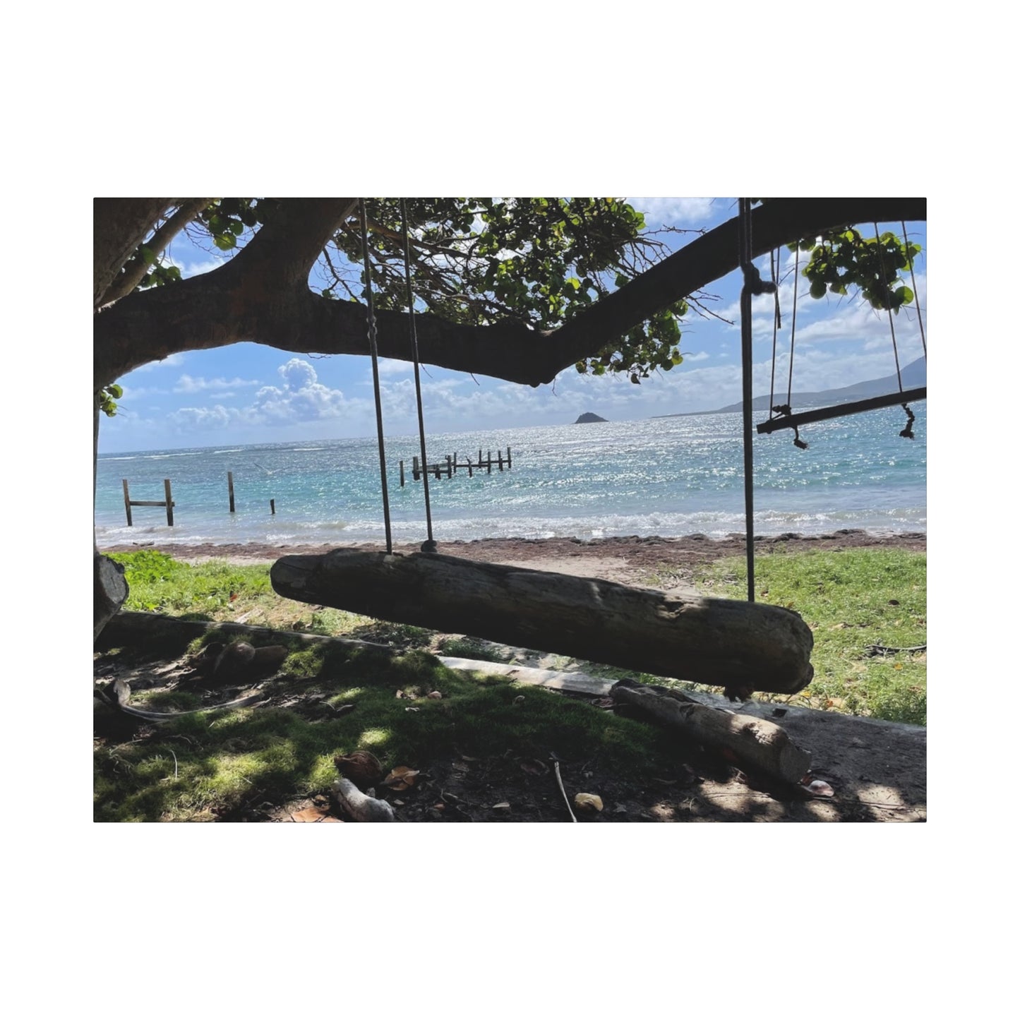 Serene Beach Swing Canvas Art Print