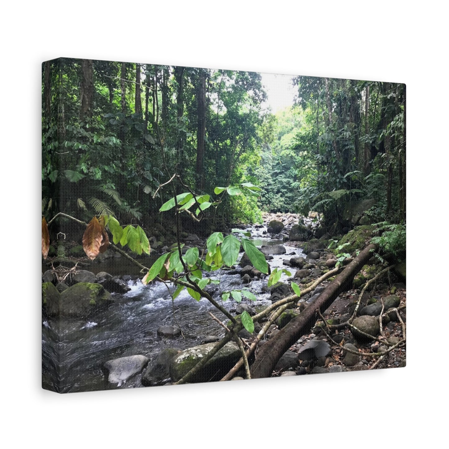Nature-Inspired Matte Canvas Wall Art - Serene River Scene