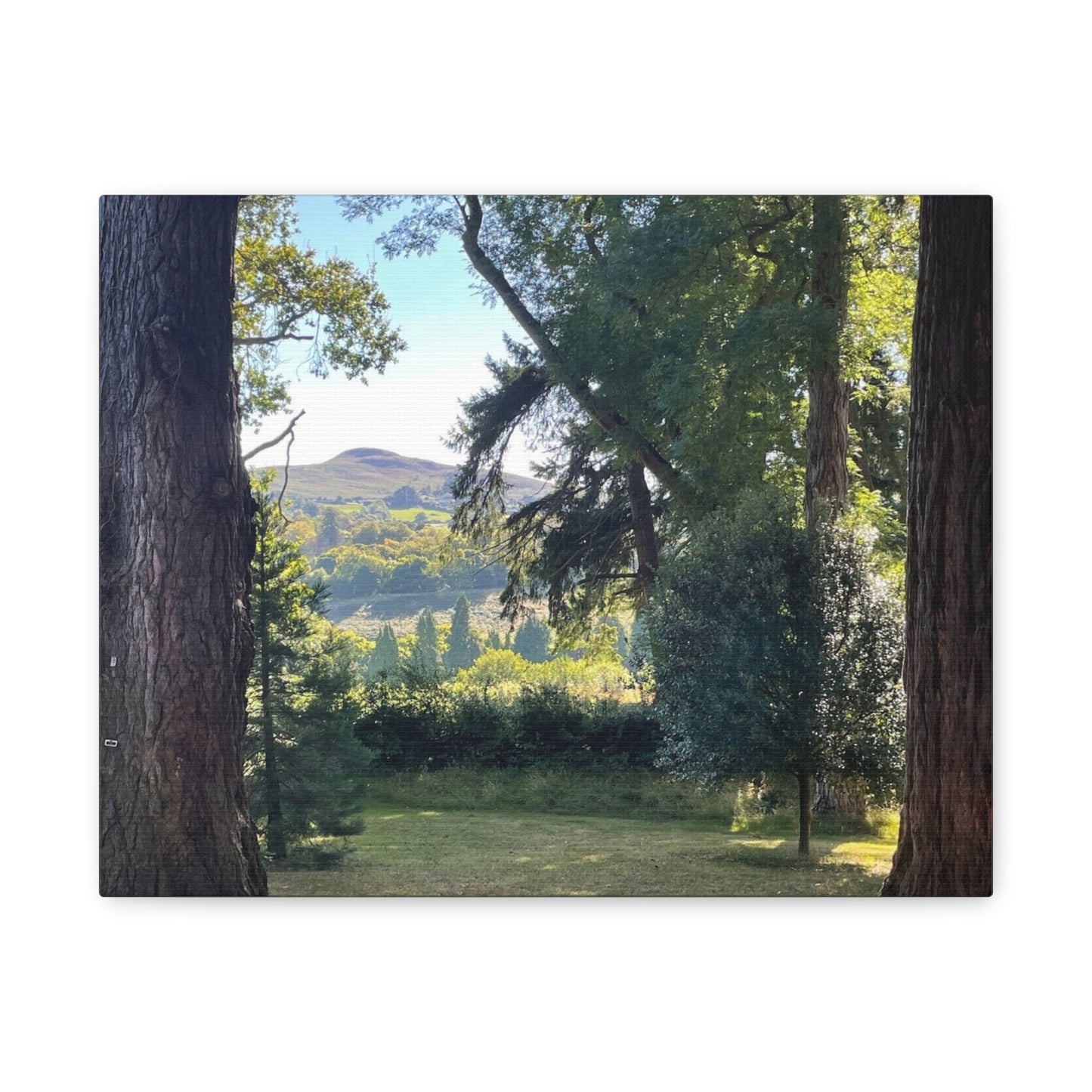 Nature-Inspired Matte Canvas Wall Art - Scenic Landscape Decor