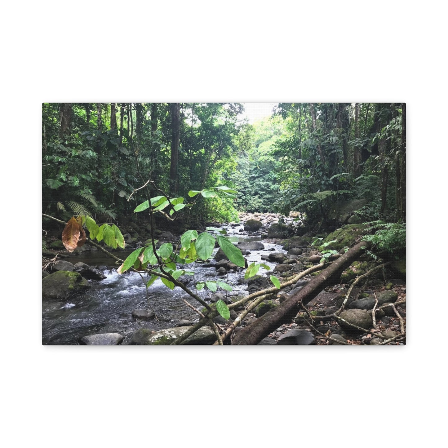 Nature-Inspired Matte Canvas Wall Art - Serene River Scene