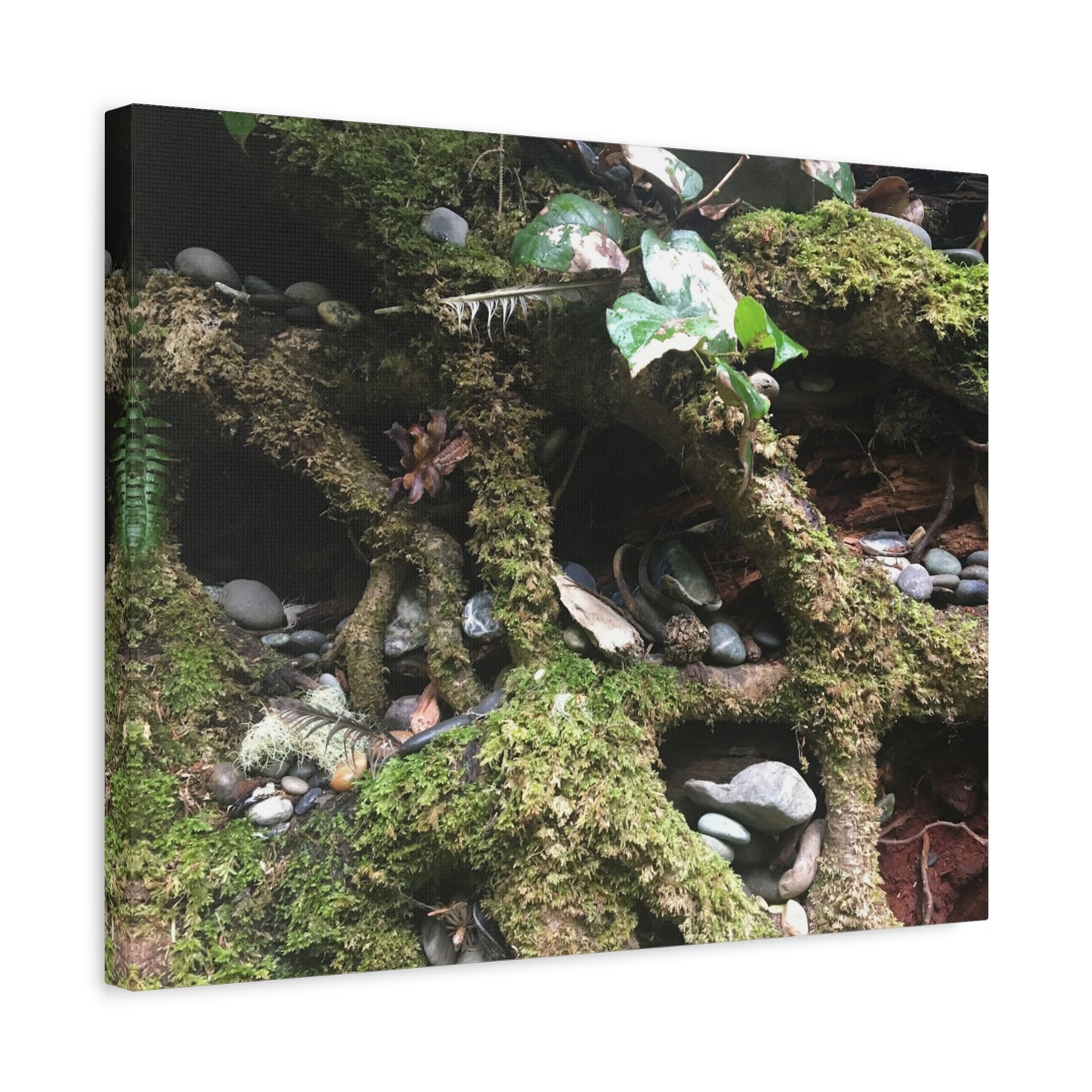 Nature-Inspired Matte Canvas Wall Art - Serene Root and Stone Design