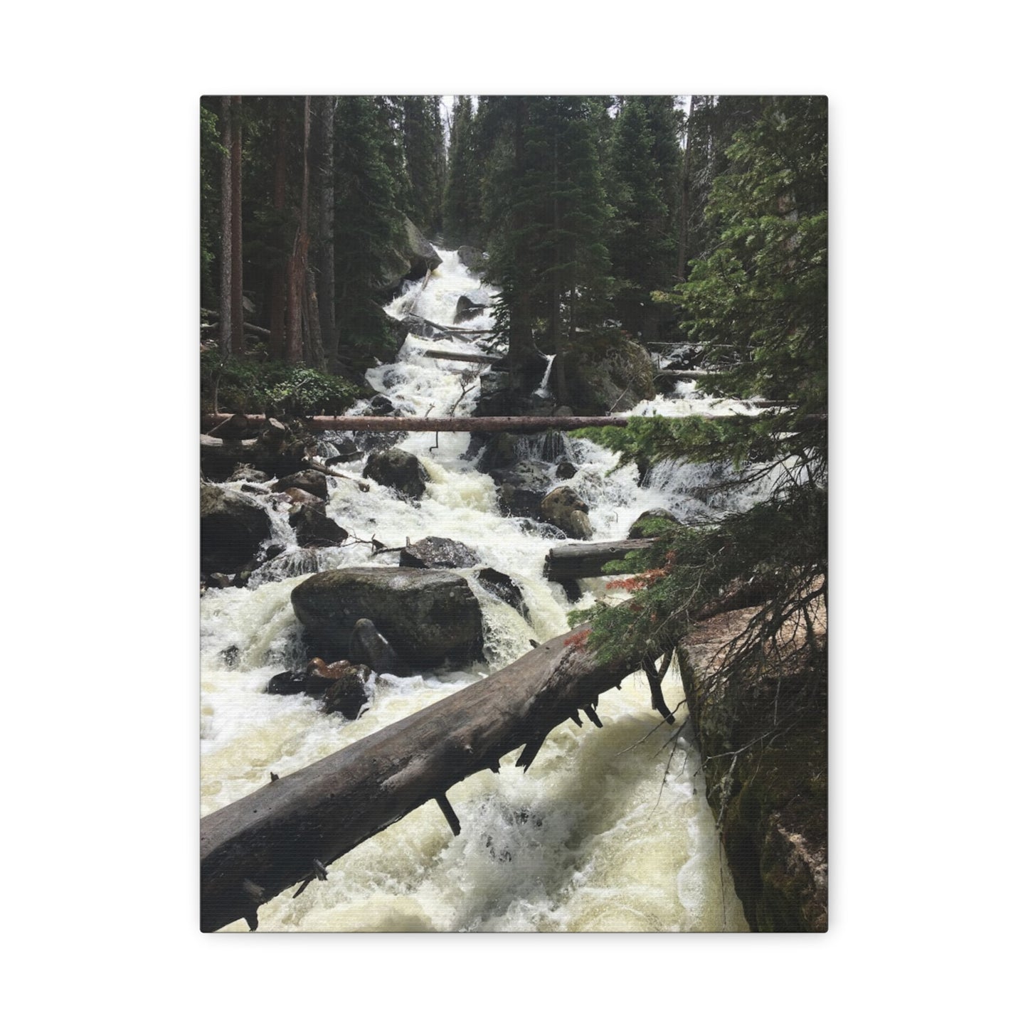 Nature Waterfall Canvas Art - Stretched Matte Wall Decor