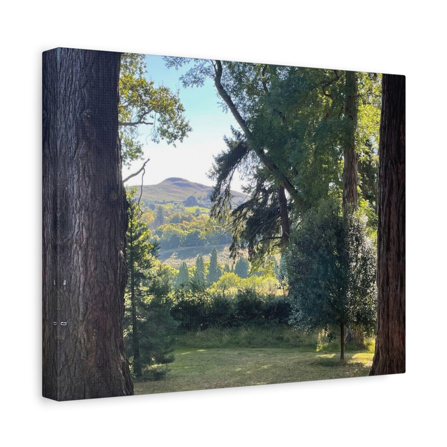 Nature-Inspired Matte Canvas Wall Art - Scenic Landscape Decor