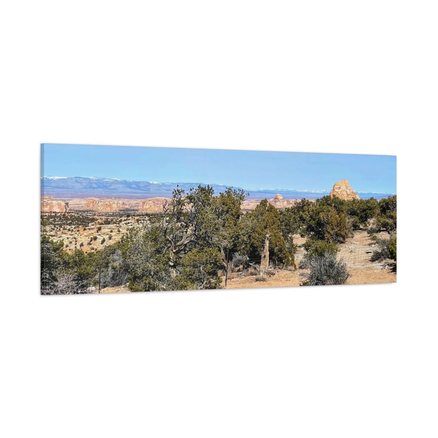 Desert Landscape Canvas Wall Art – 1.25" Matte Stretched Decor for Nature Lovers