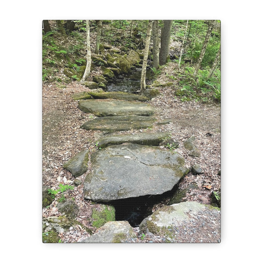 Nature-Inspired Stretched Canvas Art - Serene Stream Pathway Décor