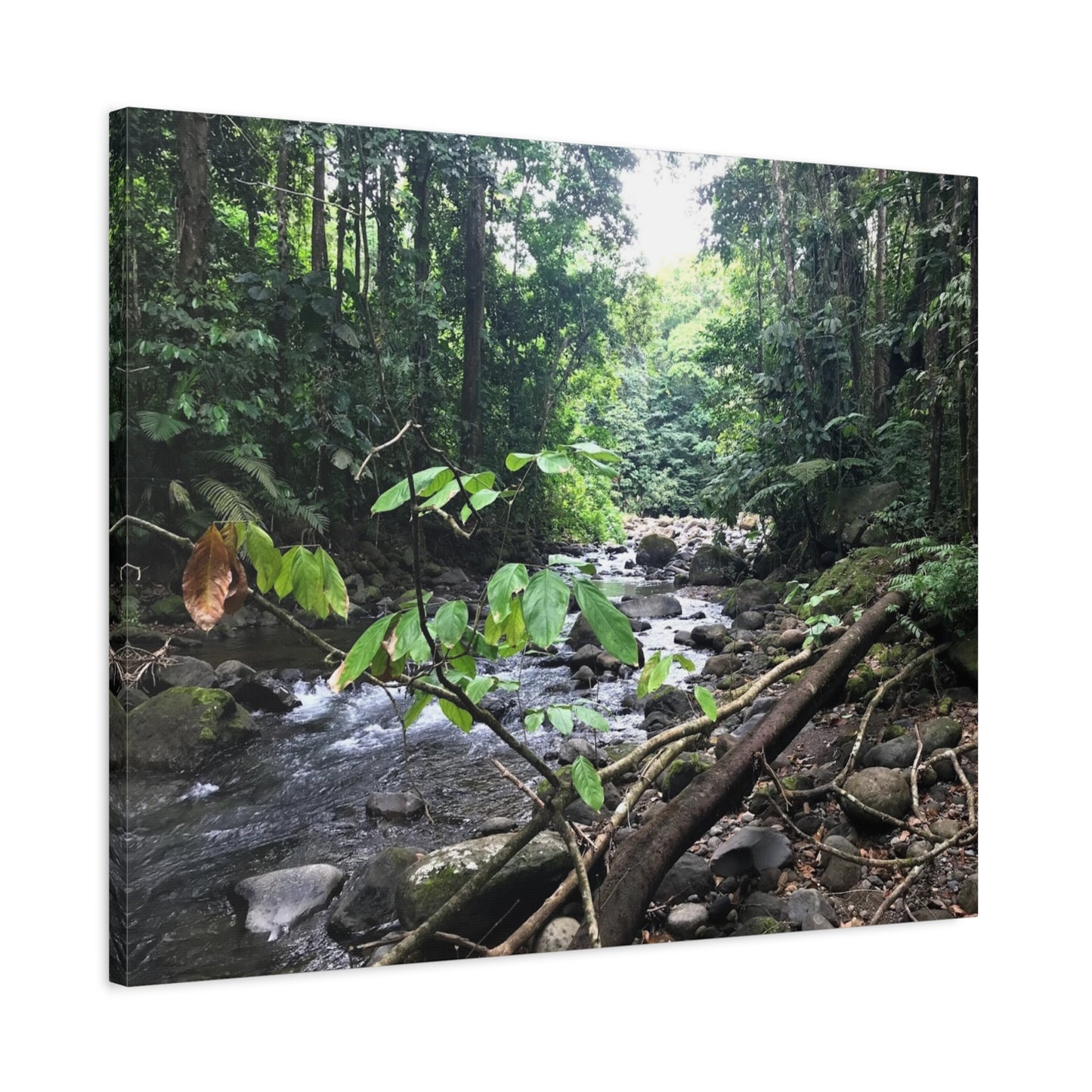 Nature-Inspired Matte Canvas Wall Art - Serene River Scene