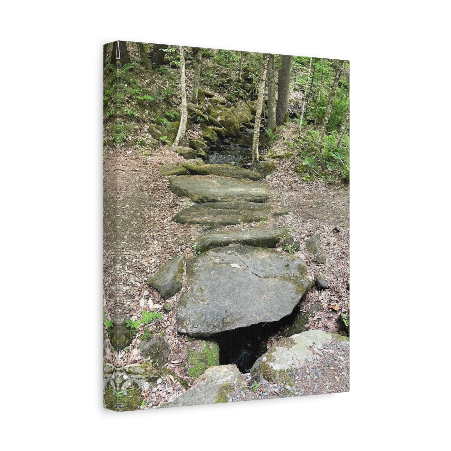 Nature-Inspired Stretched Canvas Art - Serene Stream Pathway Décor
