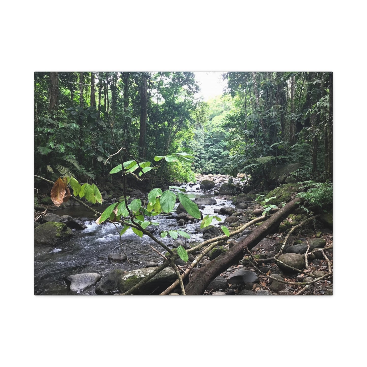 Nature-Inspired Matte Canvas Wall Art - Serene River Scene