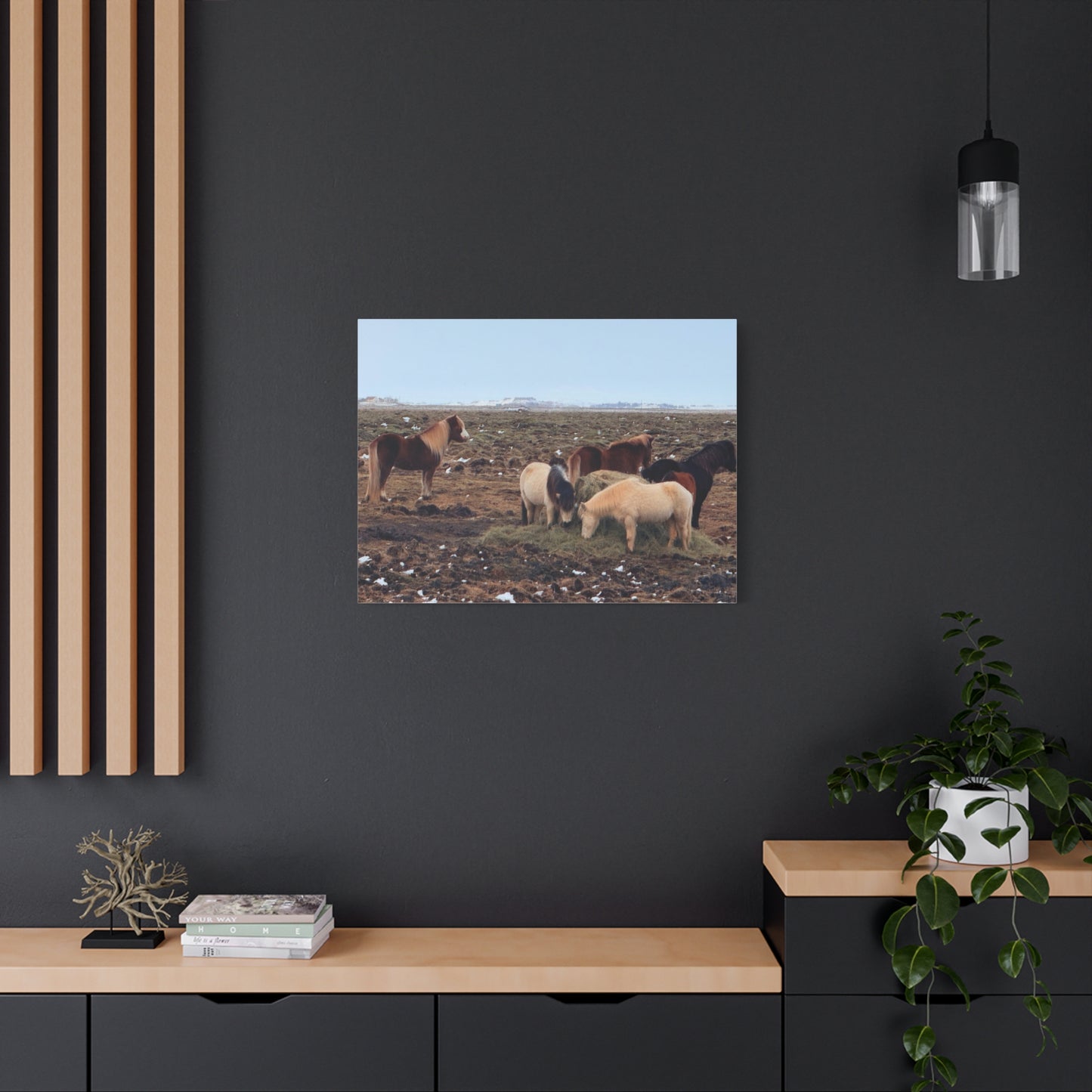 Icelandic Horse Canvas Art - Matte Stretched Print for Animal Lovers