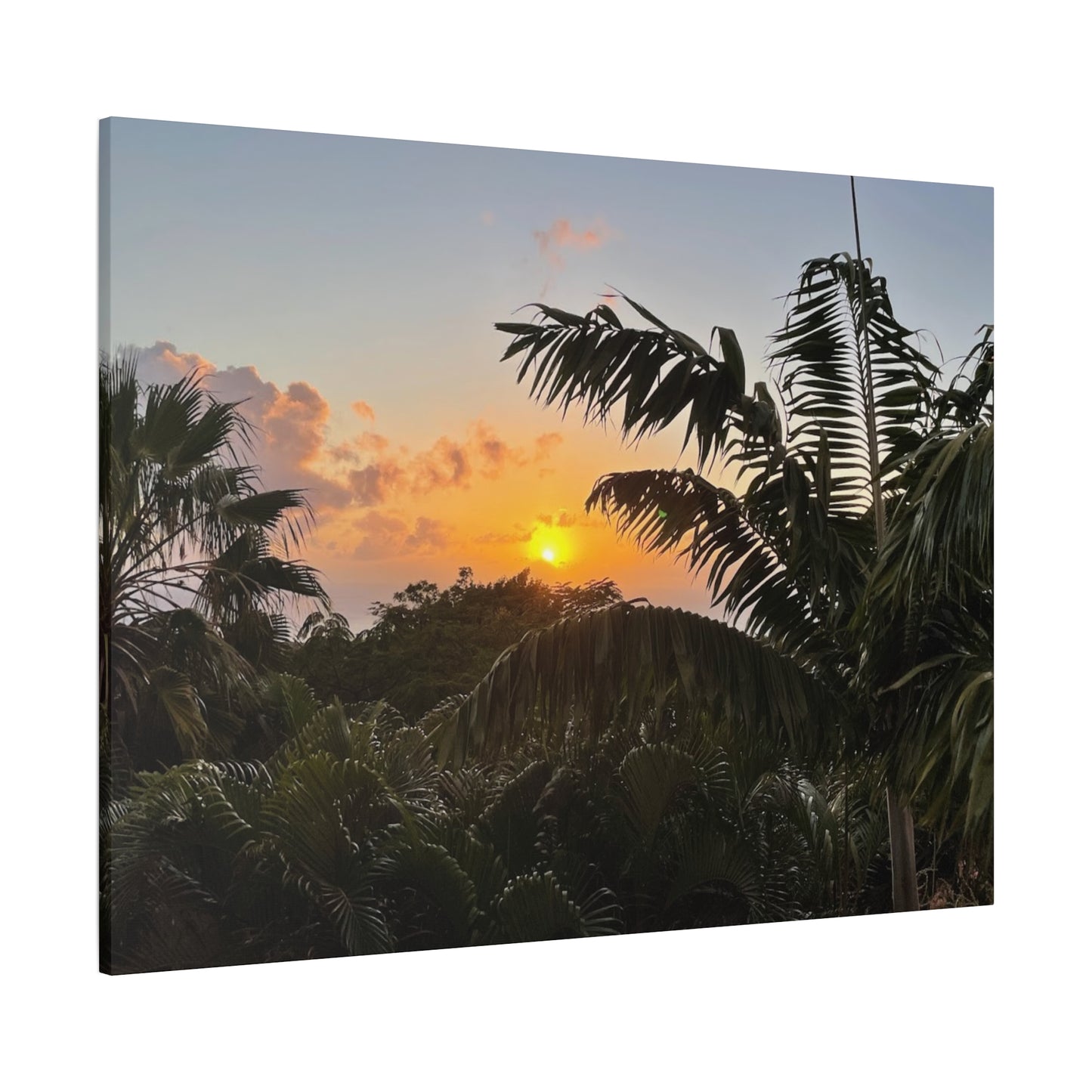 Tropical Sunset Matte Canvas - 12x16 Stretched Wall Art