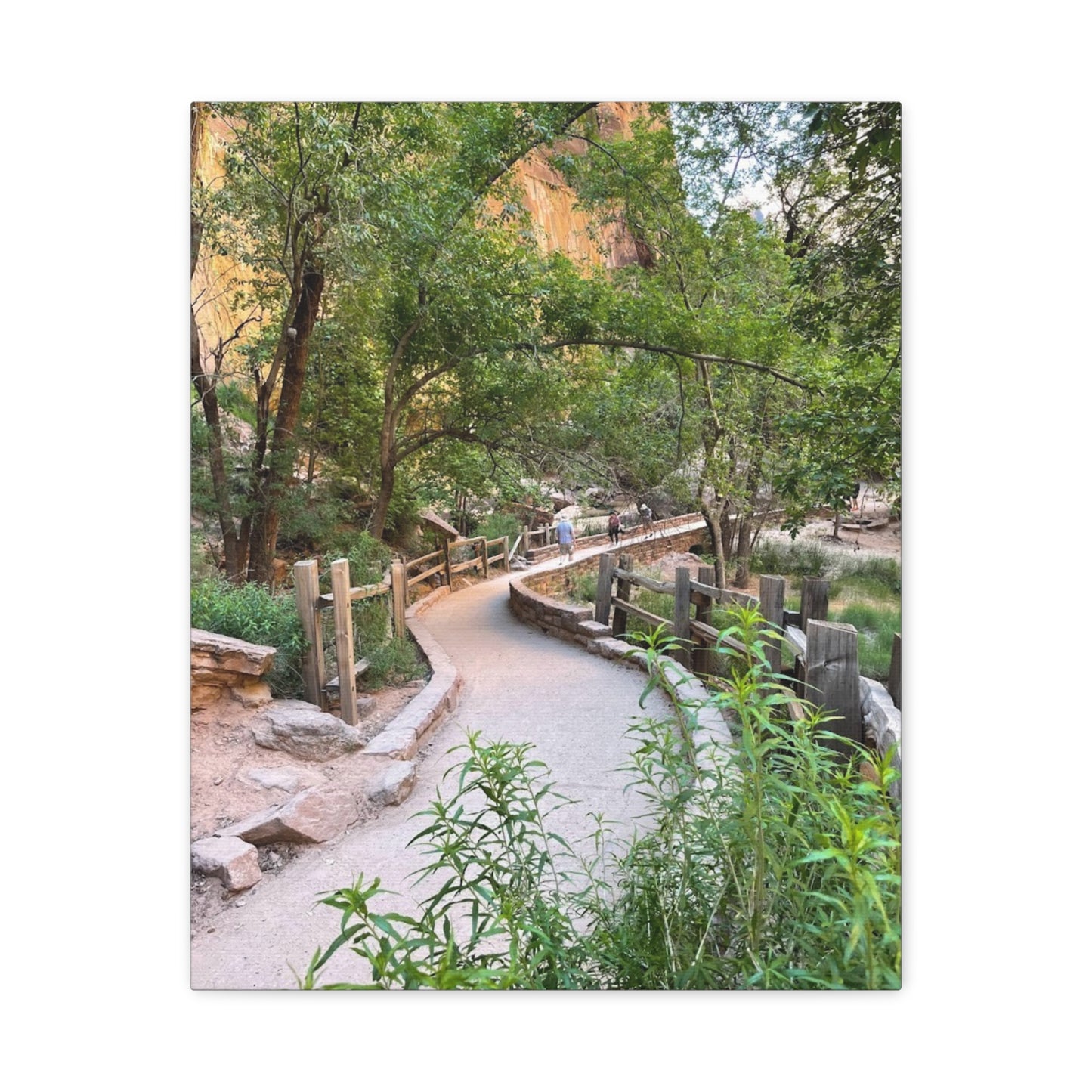 Nature Path Matte Canvas Wall Art - Scenic Landscape Decor