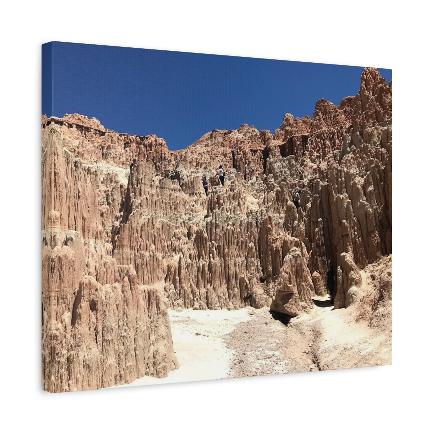 Desert Landscape Canvas Wall Art - Stretched Matte Print