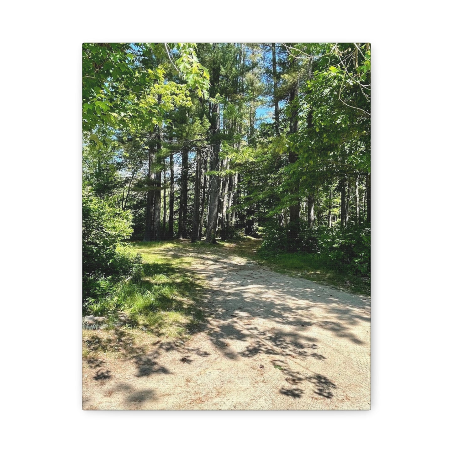Serene Forest Path Canvas Wall Art - Tranquil Nature Decor for Home