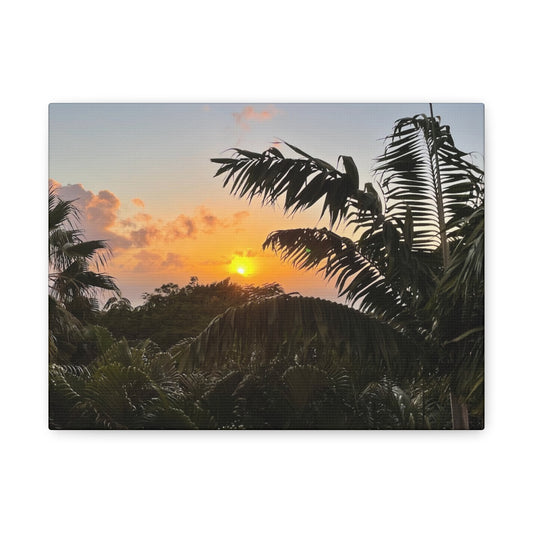 Tropical Sunset Matte Canvas - 12x16 Stretched Wall Art