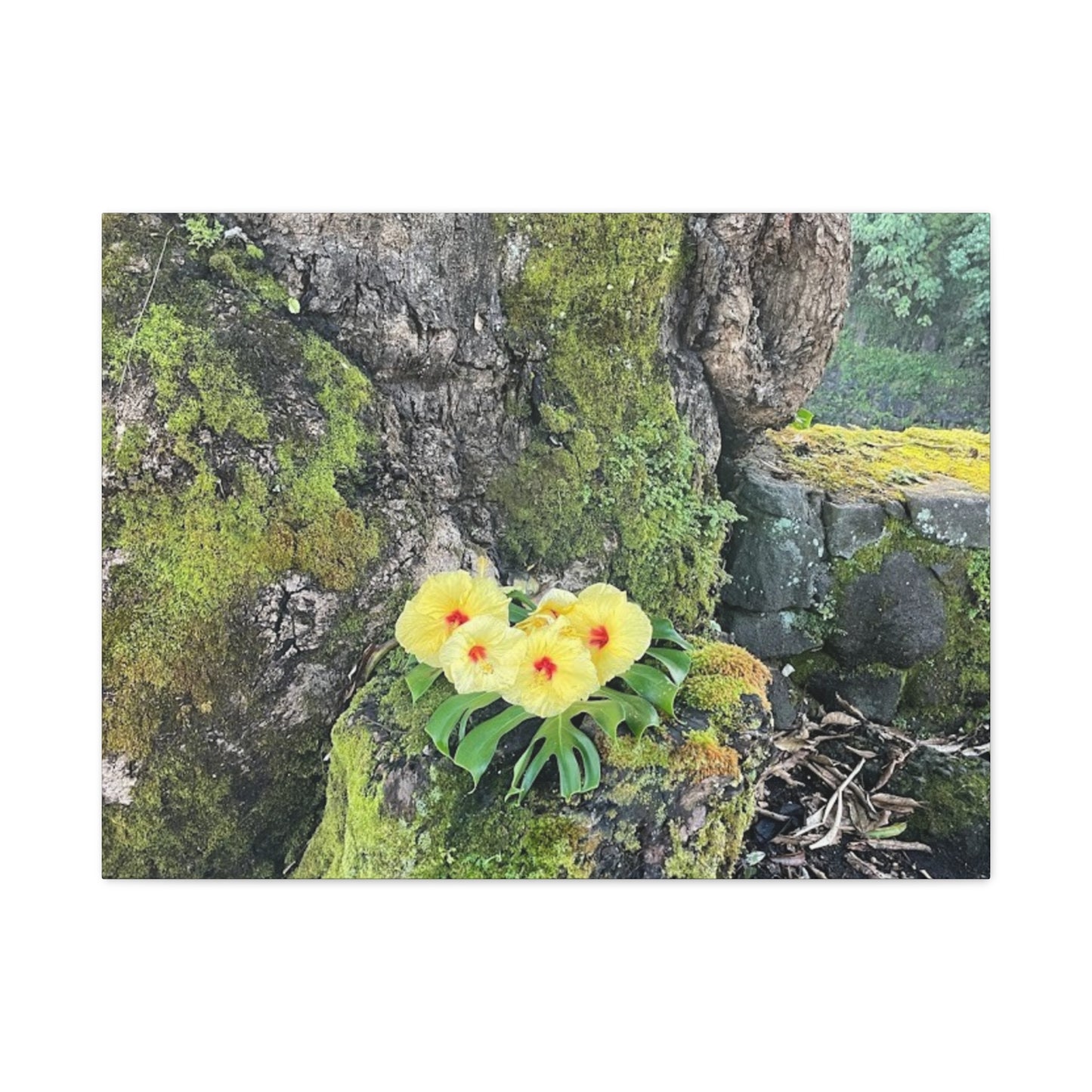 Floral Matte Canvas Art - Yellow Orchid and Moss Decor