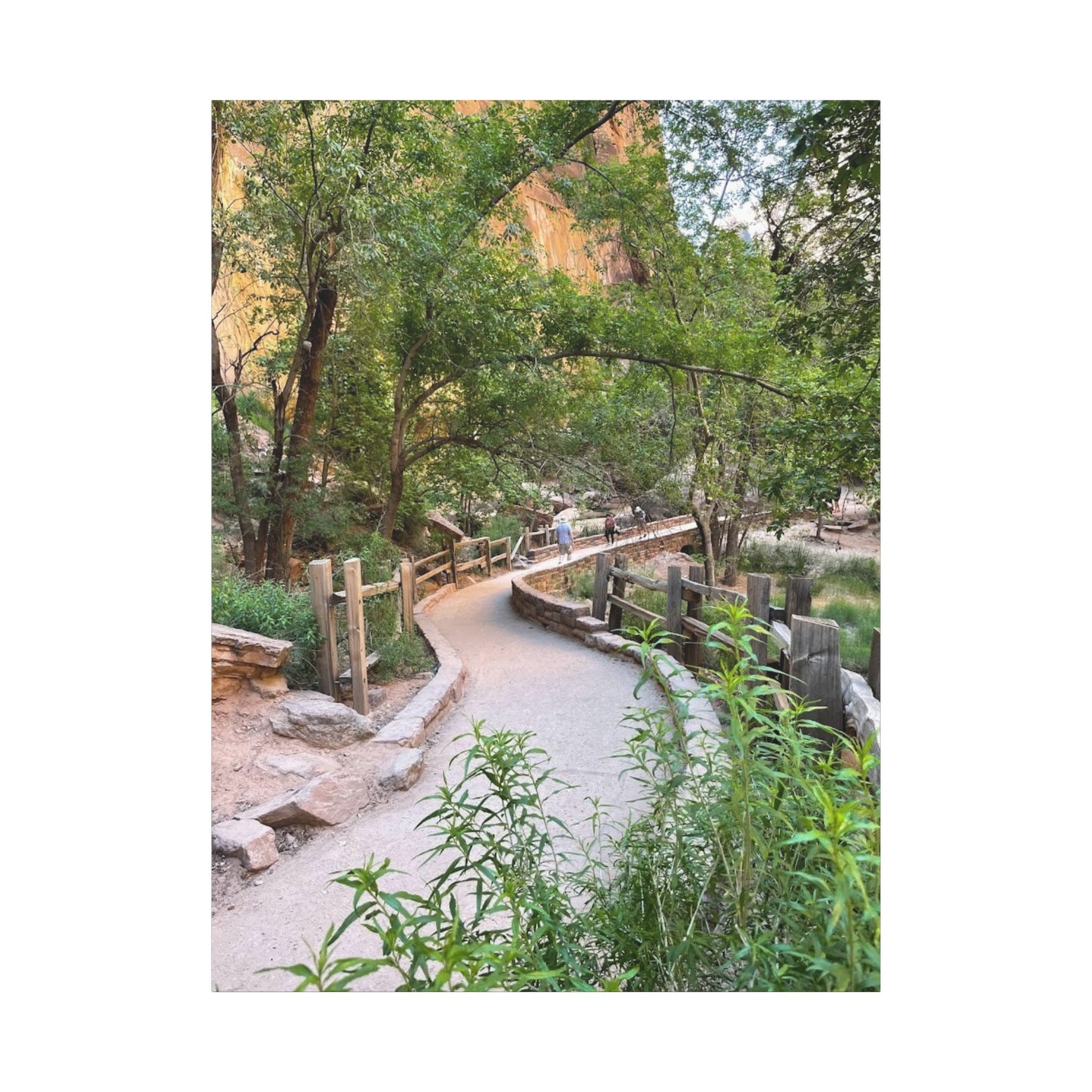Nature Path Matte Canvas Wall Art - Scenic Landscape Decor