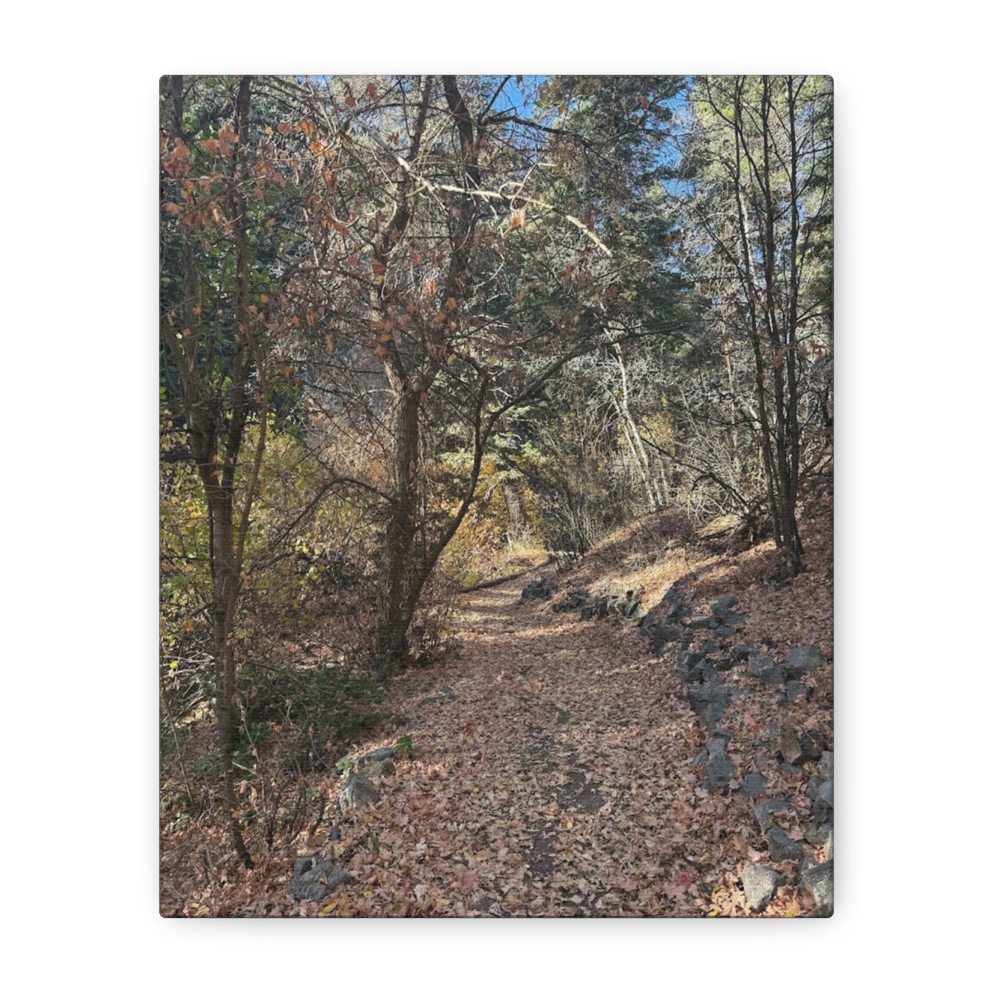 Nature-Inspired Matte Canvas Art - Stretched Wall Decor