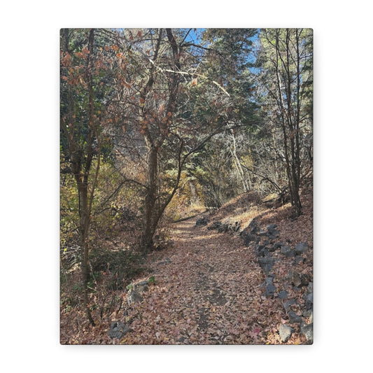 Nature-Inspired Matte Canvas Art - Stretched Wall Decor