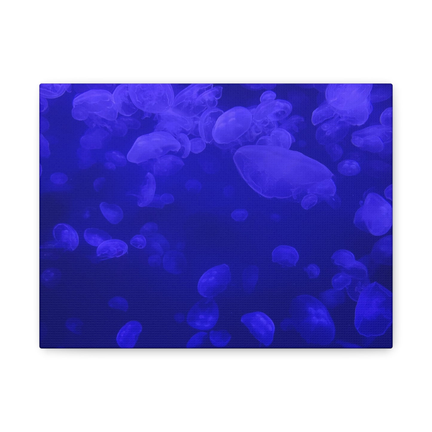 Jellyfish Watercolor Canvas Art - Ocean Theme Wall Decor