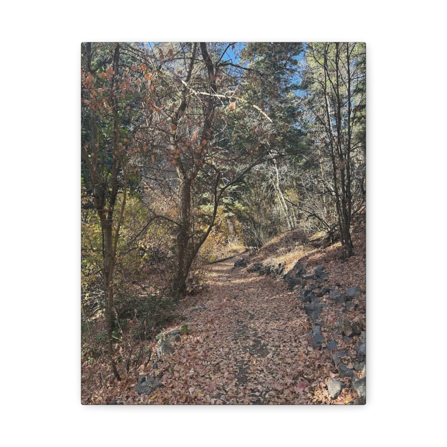 Nature-Inspired Matte Canvas Art - Stretched Wall Decor