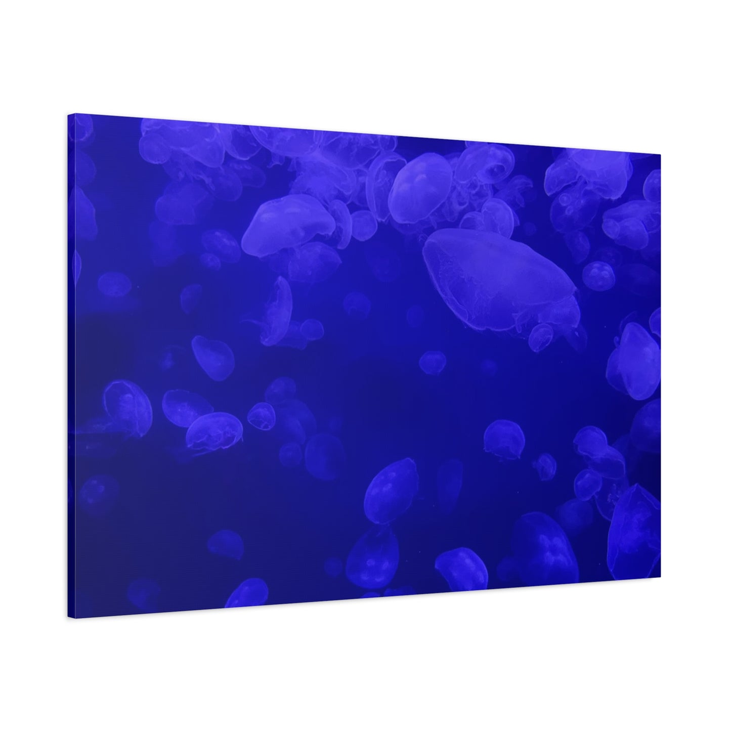 Jellyfish Watercolor Canvas Art - Ocean Theme Wall Decor