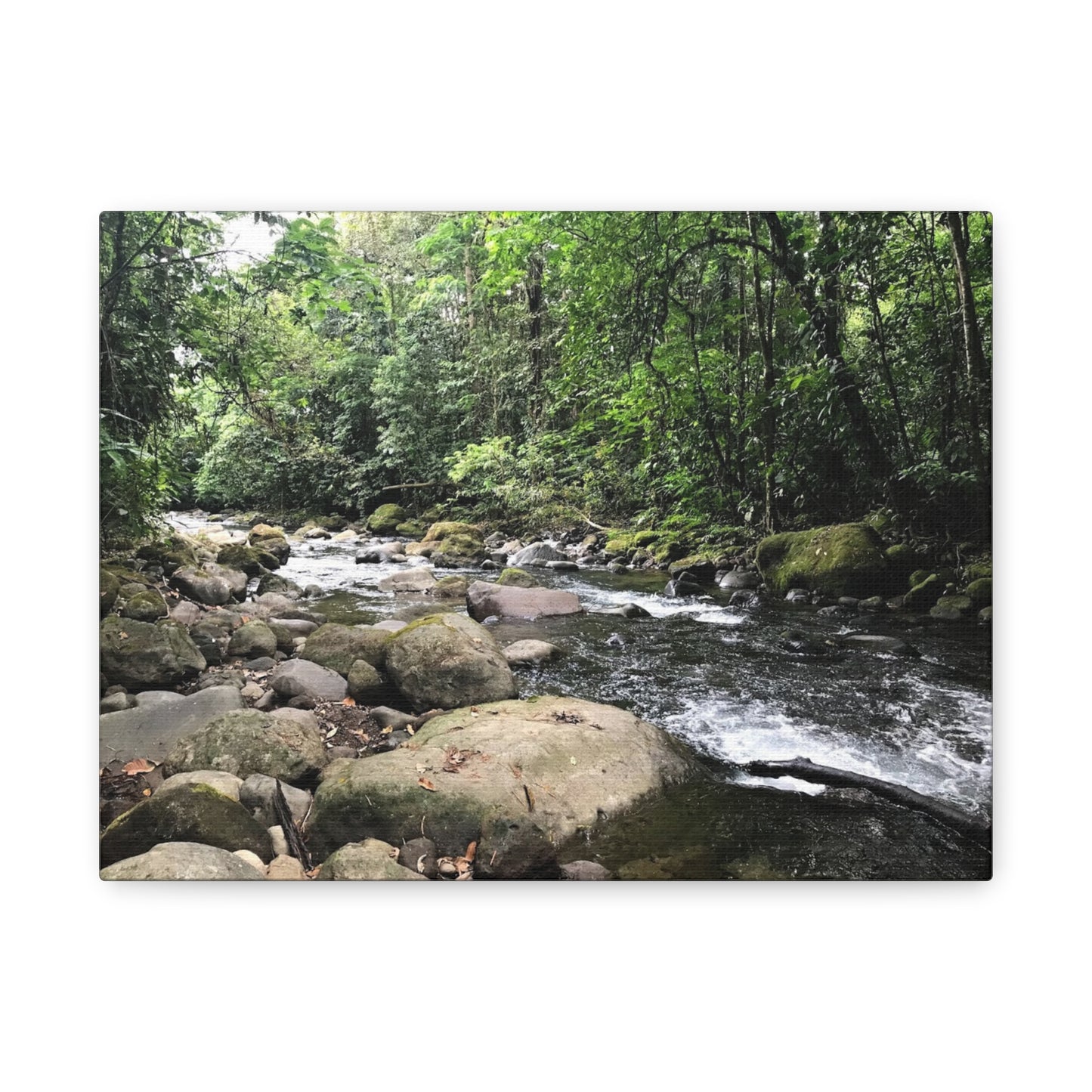 Serene Nature Canvas Wall Art – Tranquil River Landscape, 1.25" Stretched Print