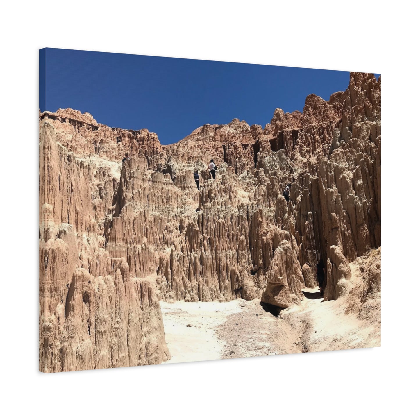 Desert Landscape Canvas Wall Art - Stretched Matte Print