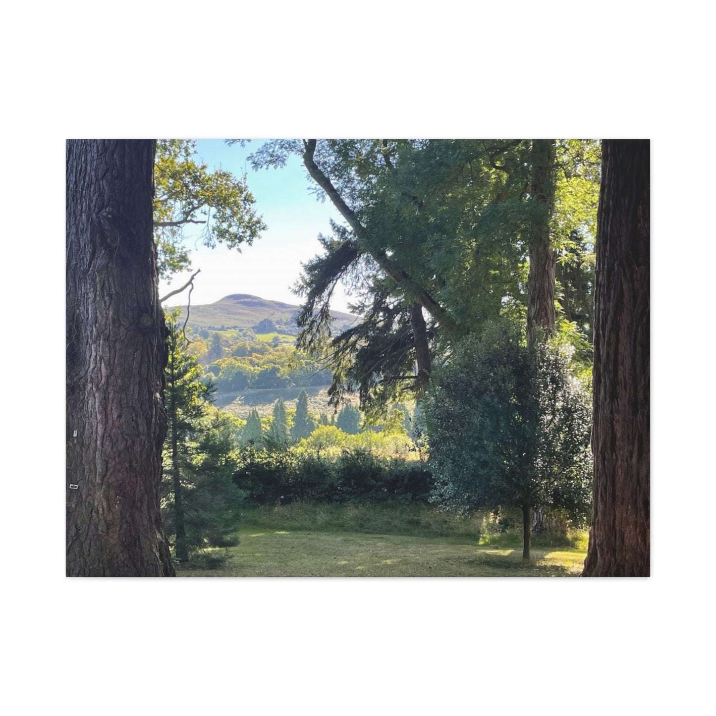 Nature-Inspired Matte Canvas Wall Art - Scenic Landscape Decor