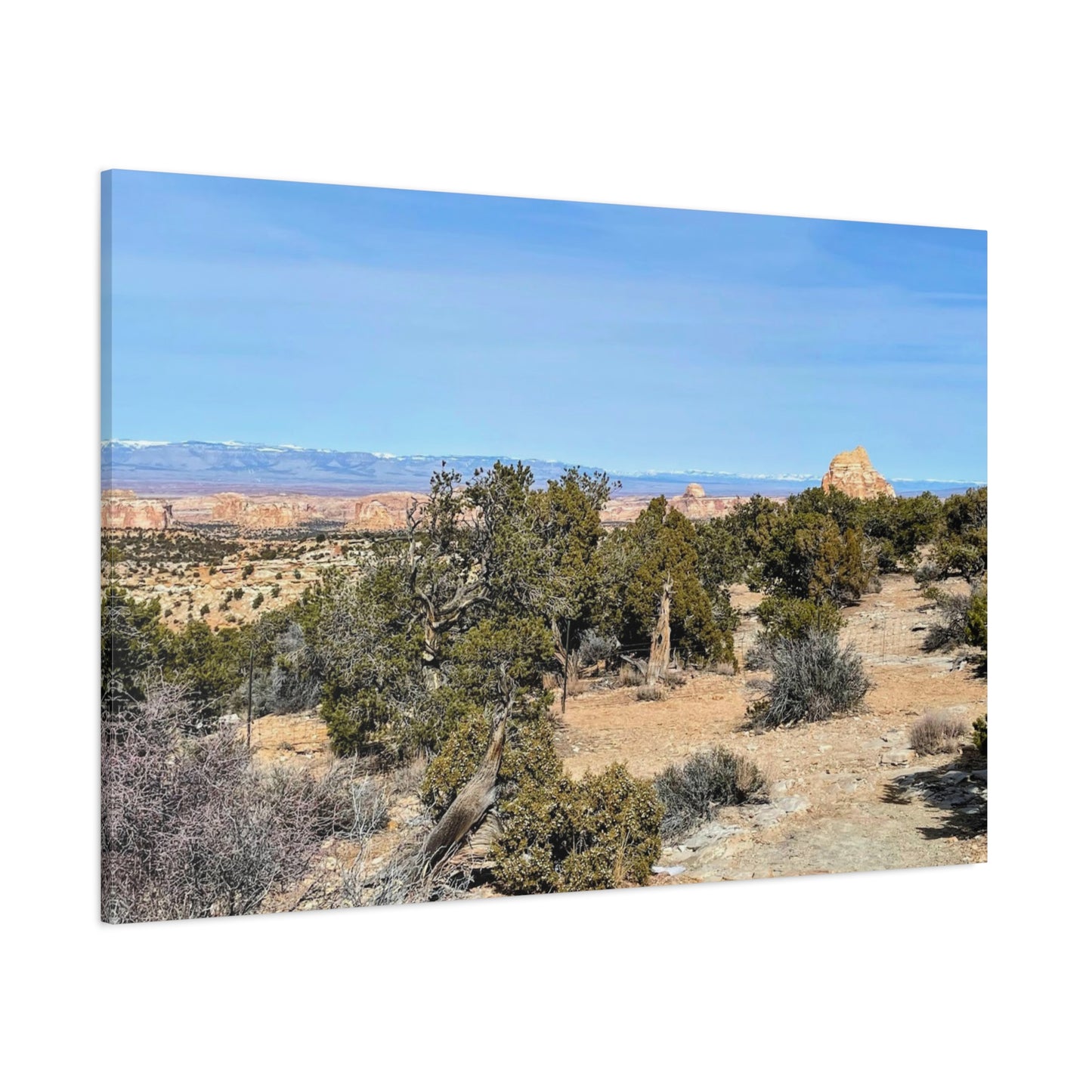 Desert Landscape Canvas Wall Art – 1.25" Matte Stretched Decor for Nature Lovers