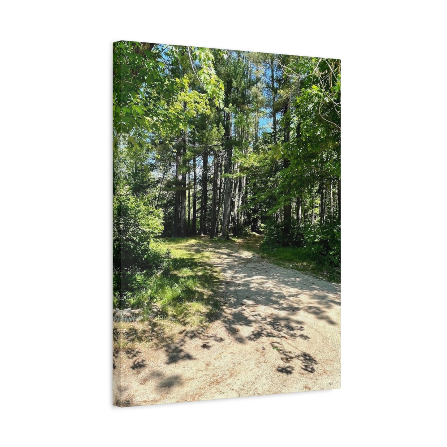 Serene Forest Path Canvas Wall Art - Tranquil Nature Decor for Home