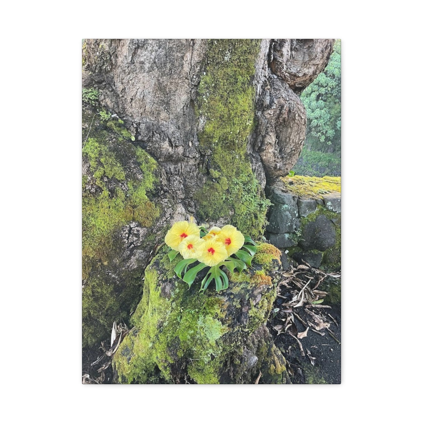 Floral Matte Canvas Art - Yellow Orchid and Moss Decor