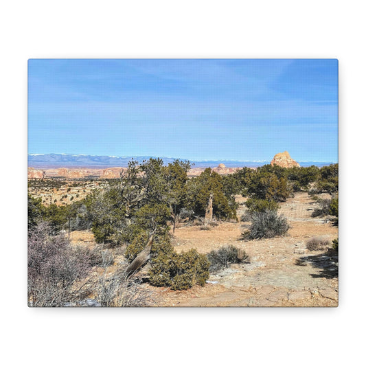 Desert Landscape Canvas Wall Art – 1.25" Matte Stretched Decor for Nature Lovers