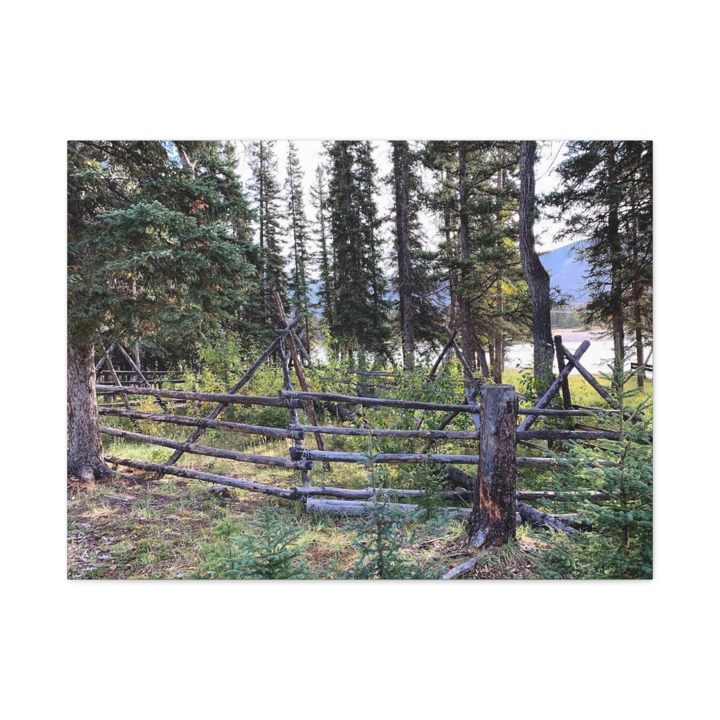 Nature-Inspired Wall Art Canvas Print - Tranquil Forest Scene