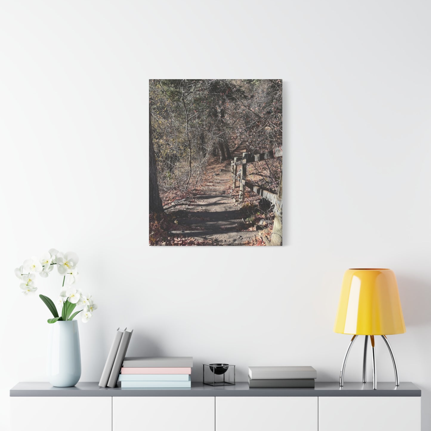 Nature Path Matte Canvas Wall Art - Tranquil Landscape Decor