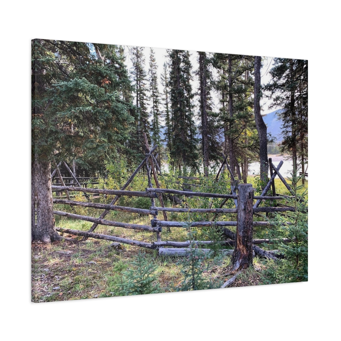 Nature-Inspired Wall Art Canvas Print - Tranquil Forest Scene