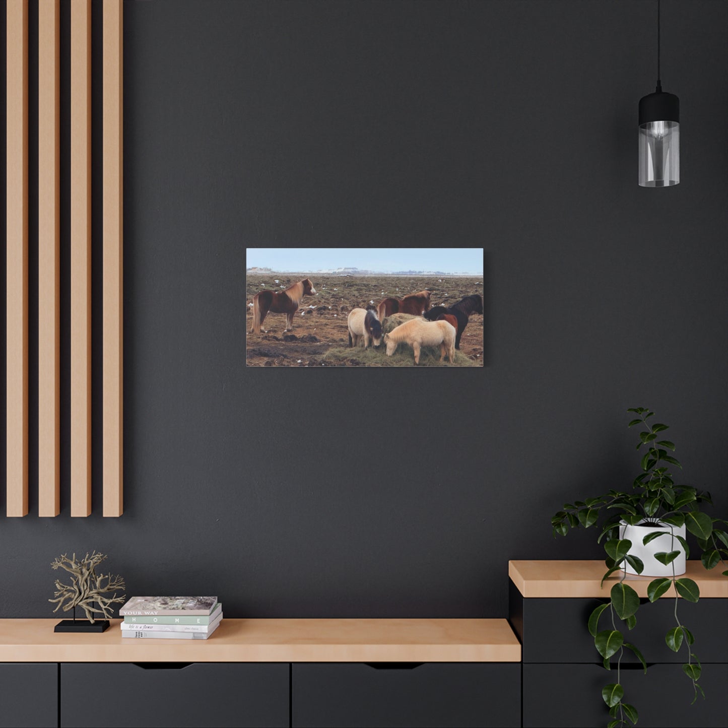 Icelandic Horse Canvas Art - Matte Stretched Print for Animal Lovers